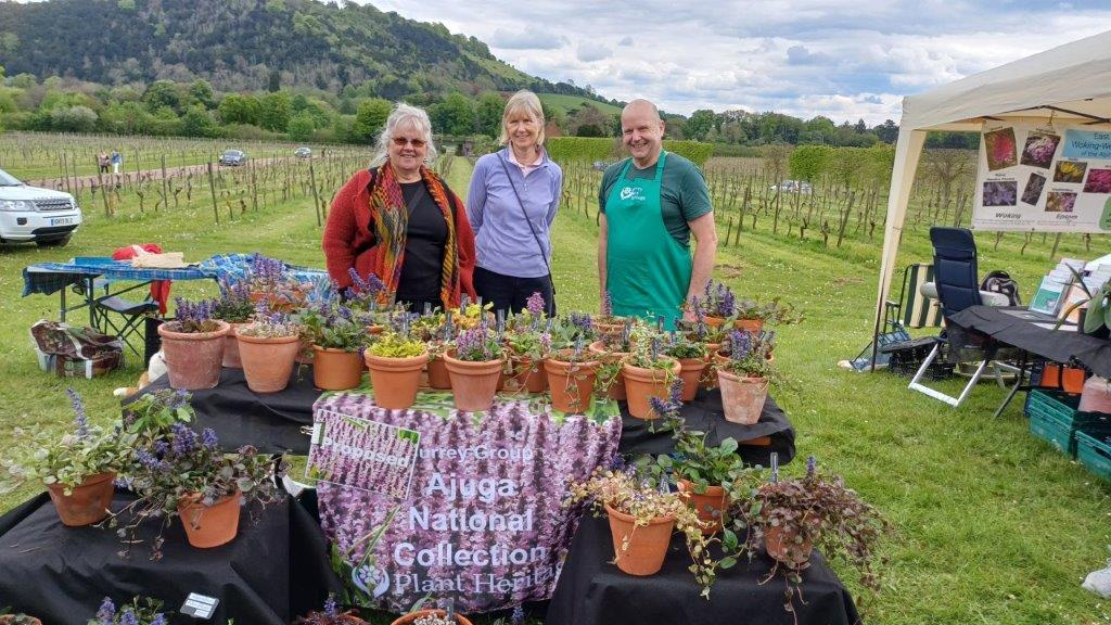 Clare Hogan, Jane Sutton and Paul Cooper with the Ajuga (Proposed) National Collection